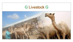 Guul Group Livestock